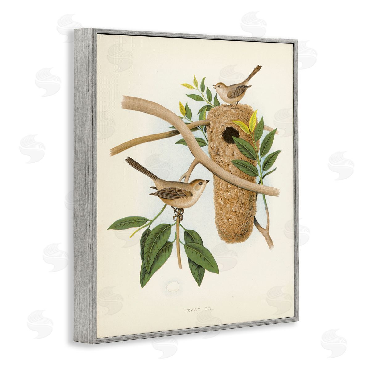 Vintage Bird House Study Grey Frame Print Wall Art, Home Decor by Tina Higgins Designs, Inc.