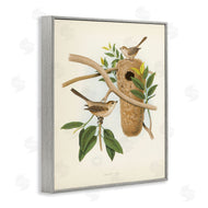 Tina Higgins Designs, Inc. | Vintage Bird House Study