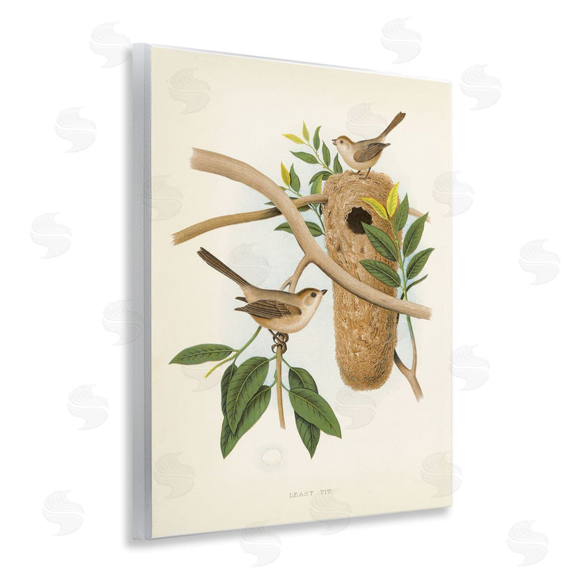 Tina Higgins Designs, Inc. | Vintage Bird House Study