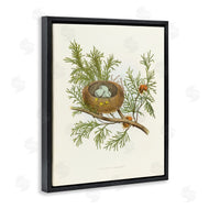 Tina Higgins Designs, Inc. | Forest Bird Nest on Branch