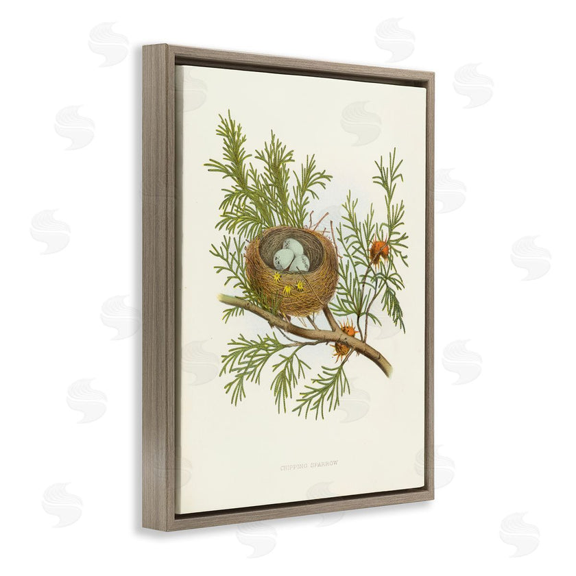 Tina Higgins Designs, Inc. | Forest Bird Nest on Branch
