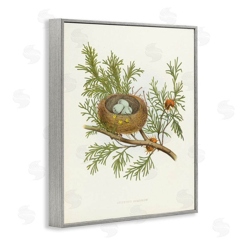 Tina Higgins Designs, Inc. | Forest Bird Nest on Branch