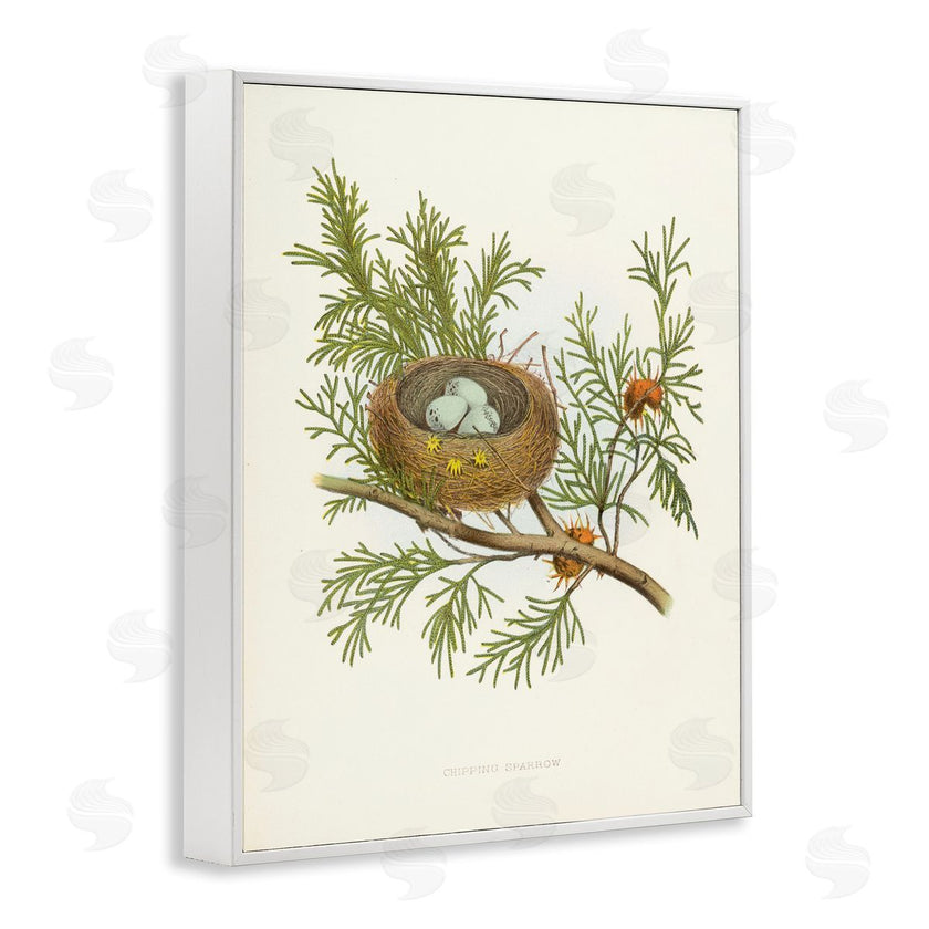 Tina Higgins Designs, Inc. | Forest Bird Nest on Branch