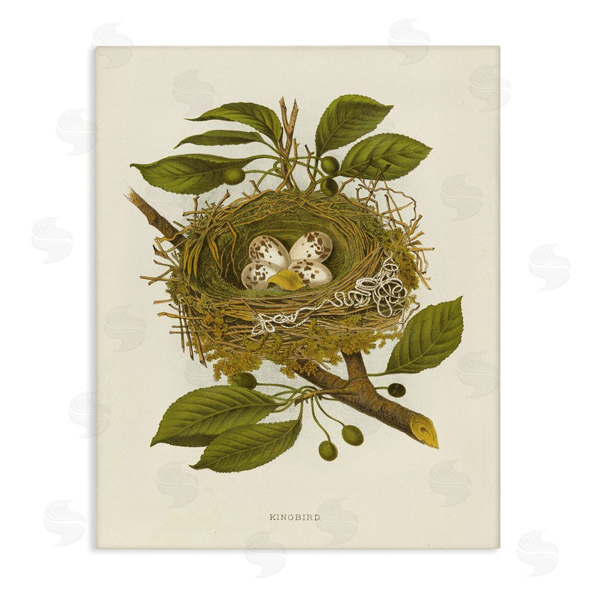 Tina Higgins Designs, Inc. | Birdnest with Spotted Eggs