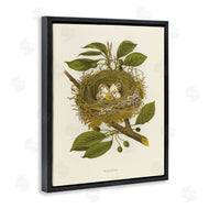 Tina Higgins Designs, Inc. | Birdnest with Spotted Eggs