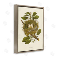 Tina Higgins Designs, Inc. | Birdnest with Spotted Eggs