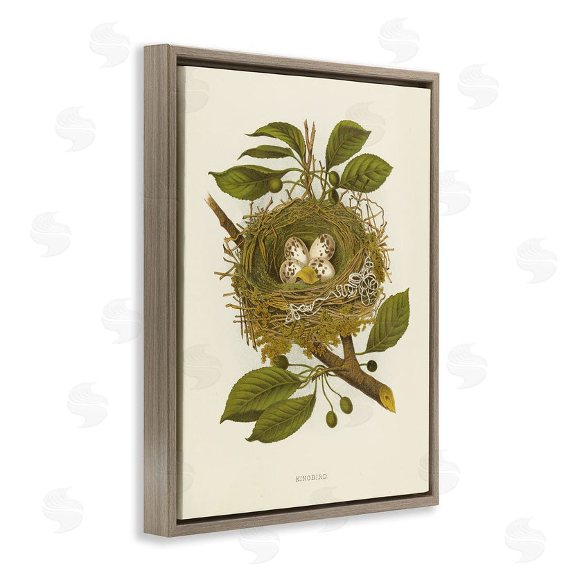 Tina Higgins Designs, Inc. | Birdnest with Spotted Eggs