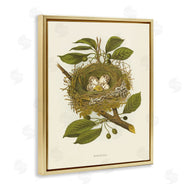 Tina Higgins Designs, Inc. | Birdnest with Spotted Eggs