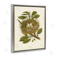 Tina Higgins Designs, Inc. | Birdnest with Spotted Eggs
