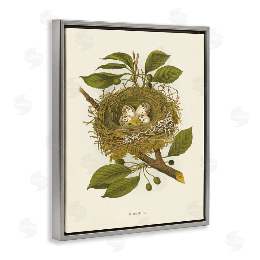 Tina Higgins Designs, Inc. | Birdnest with Spotted Eggs
