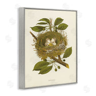 Tina Higgins Designs, Inc. | Birdnest with Spotted Eggs