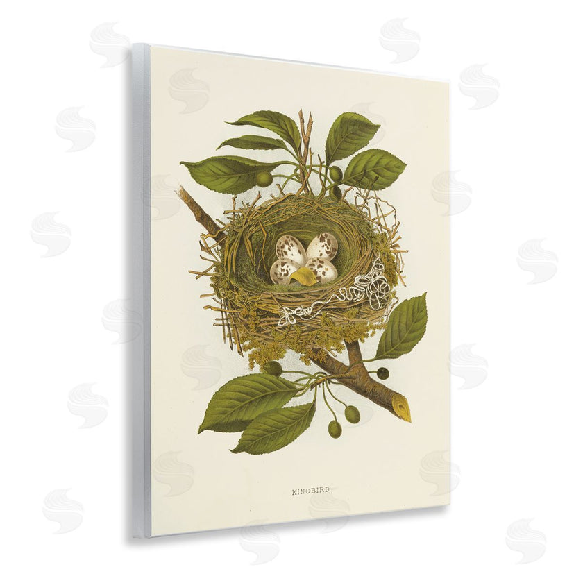 Tina Higgins Designs, Inc. | Birdnest with Spotted Eggs