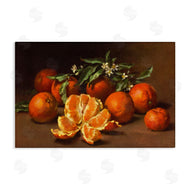 Tina Higgins Designs, Inc. | Peeled Oranges Still Life