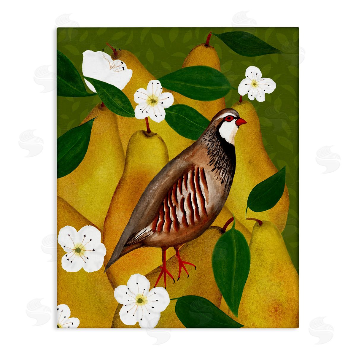 Partridge Bird & Pears Canvas Wall Art, Home Decor by Michelle Ingari Designs
