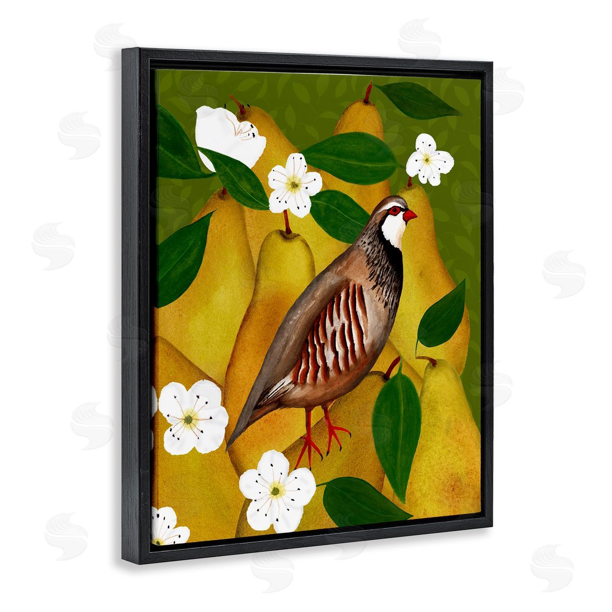 Partridge Bird & Pears Black Floating Frame Canvas Wall Art, Home Decor by Michelle Ingari Designs
