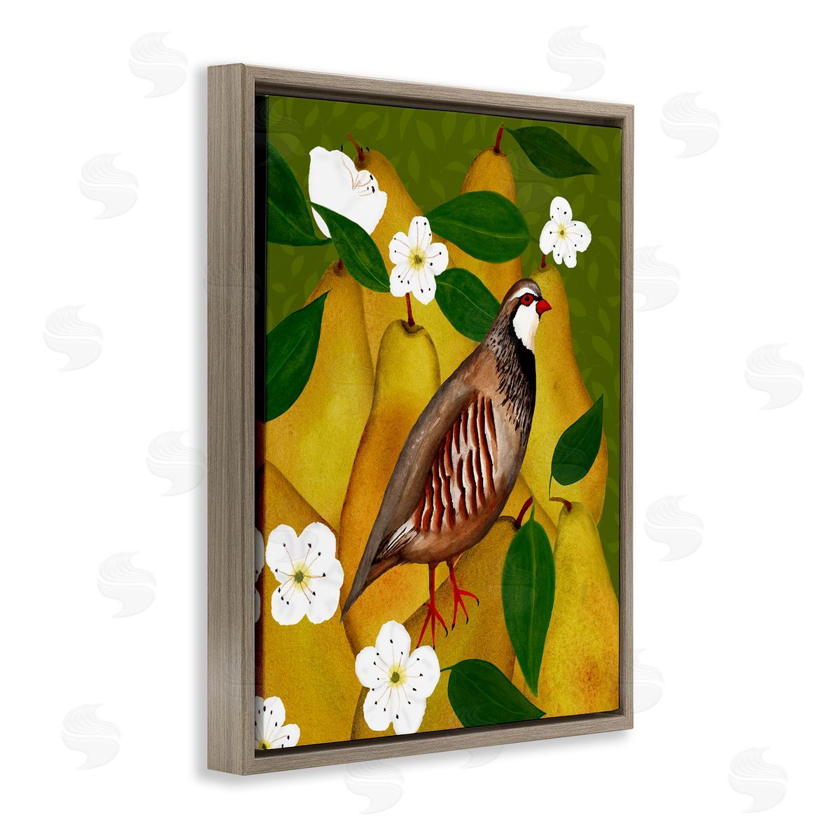 Partridge Bird & Pears Brown Floating Frame Canvas Wall Art, Home Decor by Michelle Ingari Designs