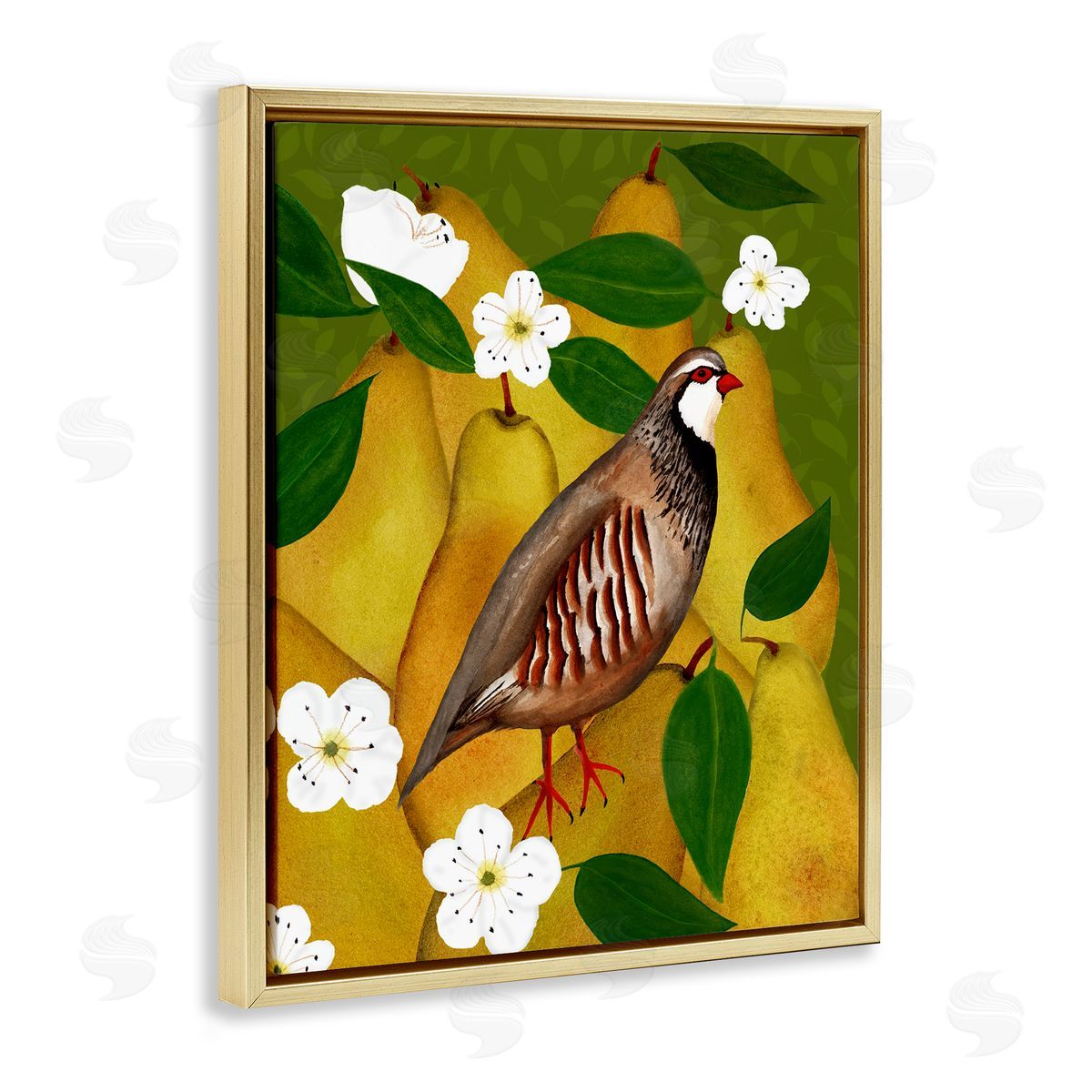 Partridge Bird & Pears Gold Floating Frame Canvas Wall Art, Home Decor by Michelle Ingari Designs