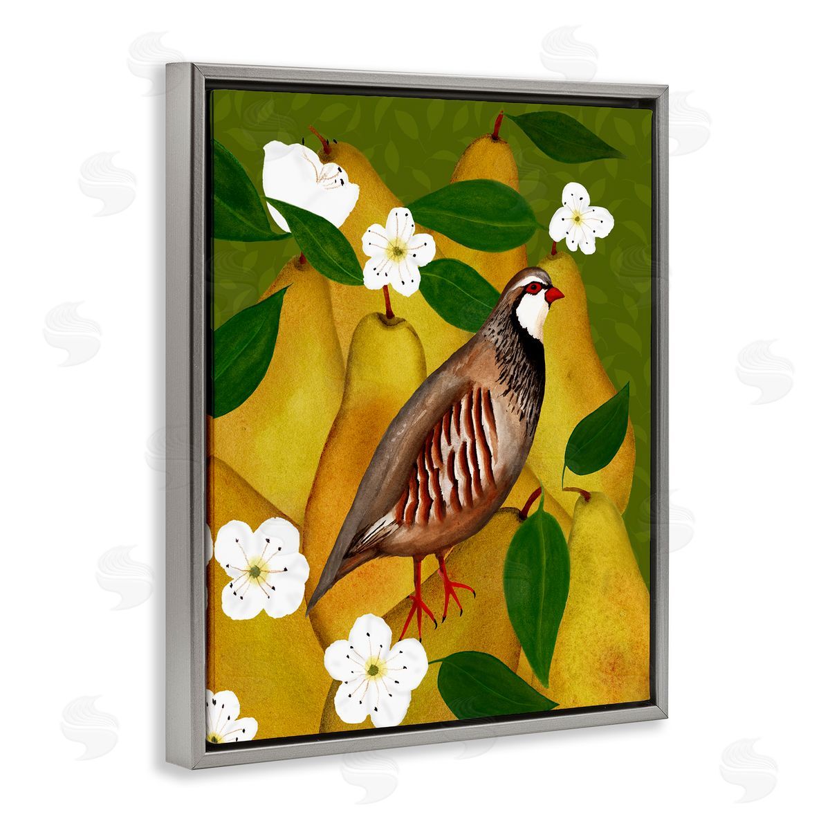 Partridge Bird & Pears Grey Floating Frame Canvas Wall Art, Home Decor by Michelle Ingari Designs