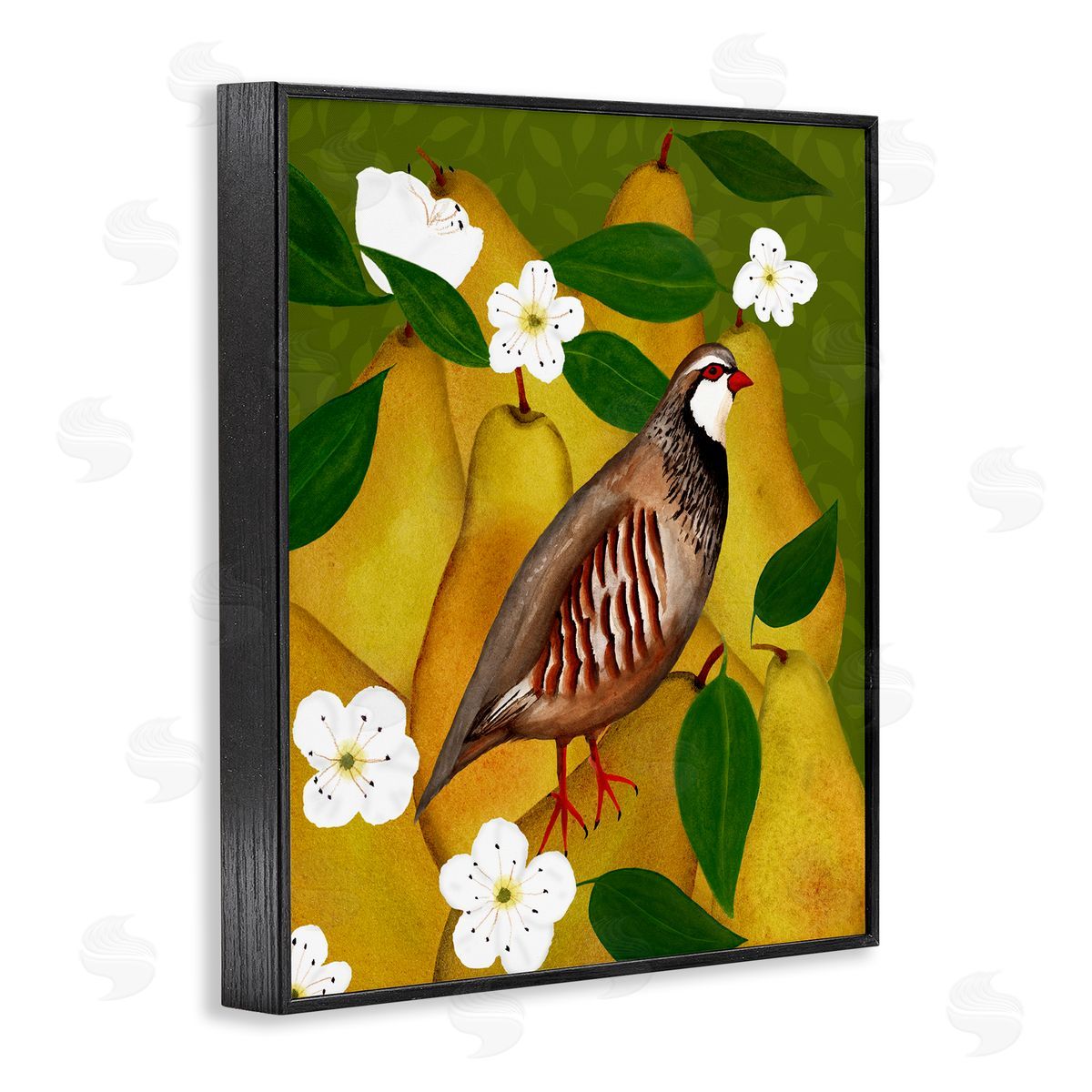 Partridge Bird & Pears Black Frame Print Wall Art, Home Decor by Michelle Ingari Designs