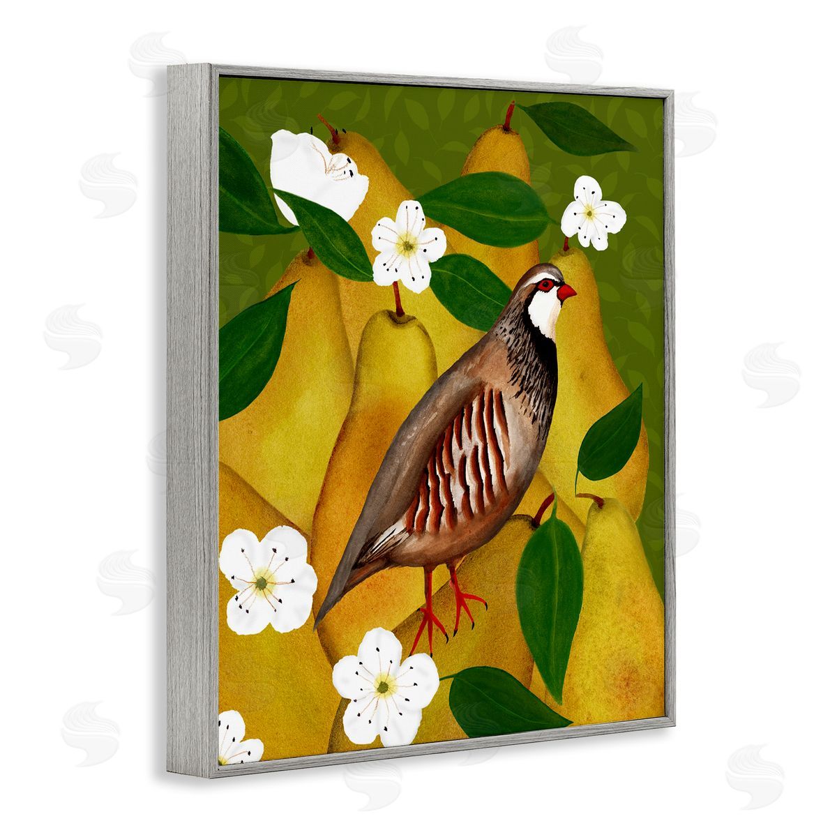 Partridge Bird & Pears Grey Frame Print Wall Art, Home Decor by Michelle Ingari Designs