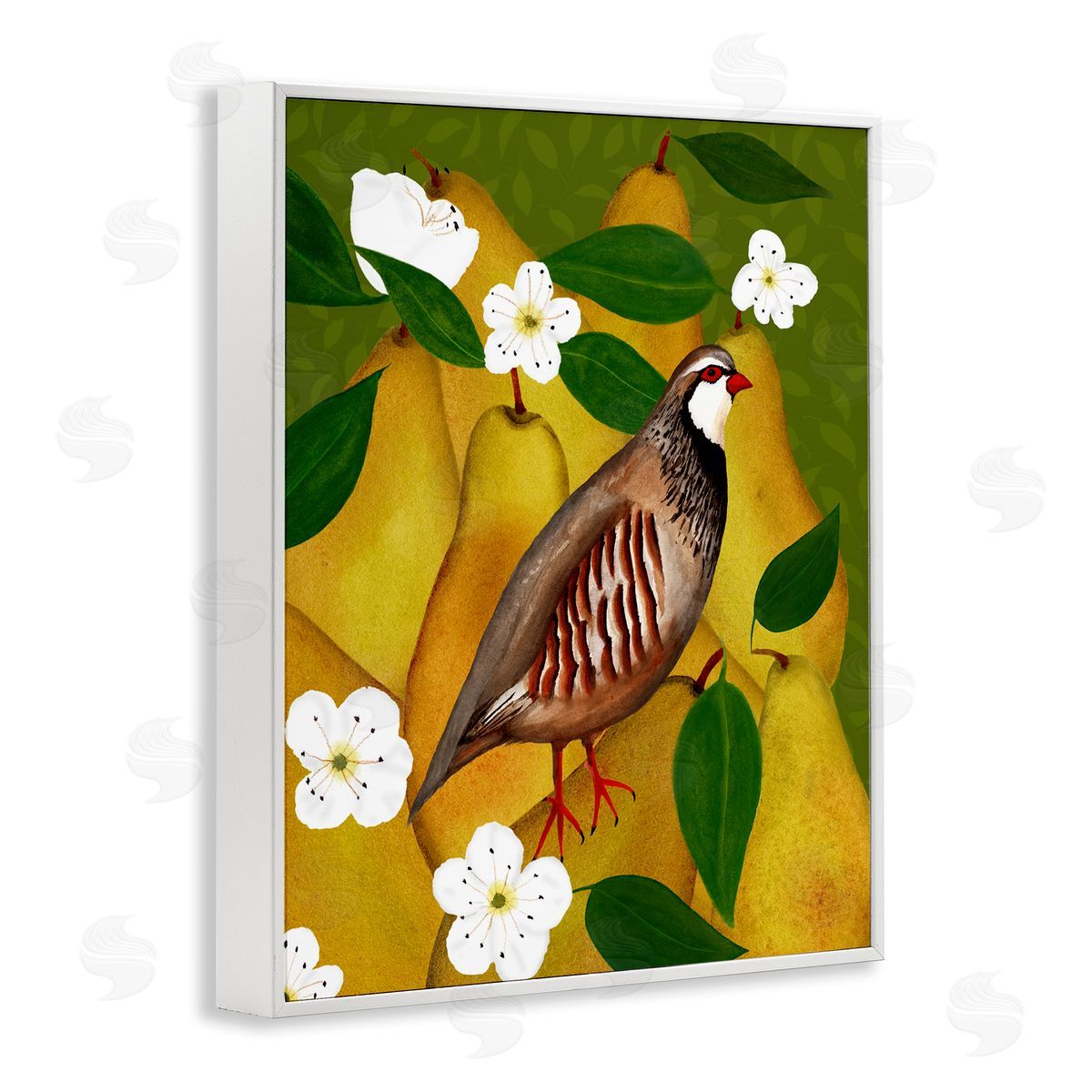 Partridge Bird & Pears White Frame Print Wall Art, Home Decor by Michelle Ingari Designs