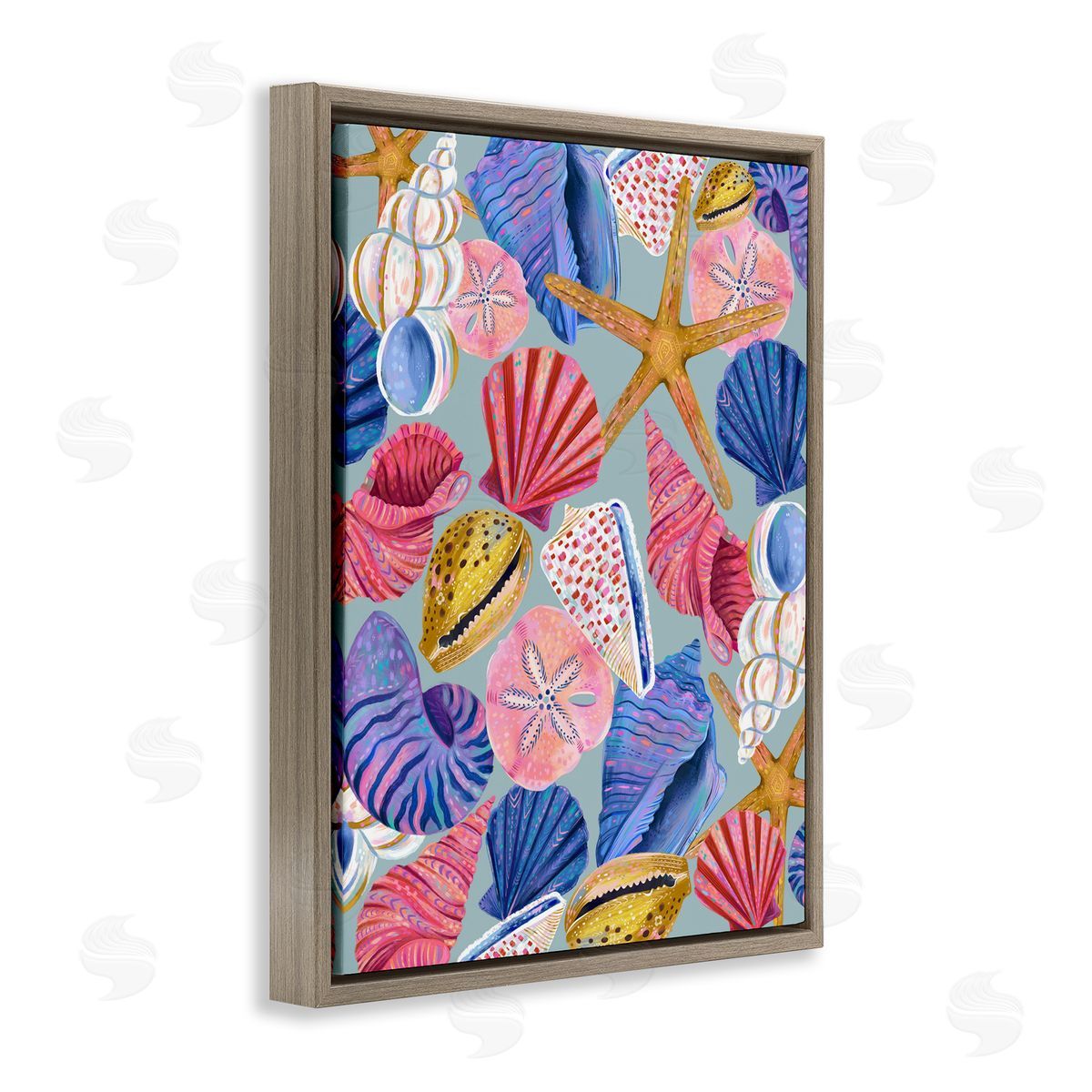 Bright Seashells Assortment Brown Floating Frame Canvas Wall Art, Home Decor by Arrolynn Weiderhold