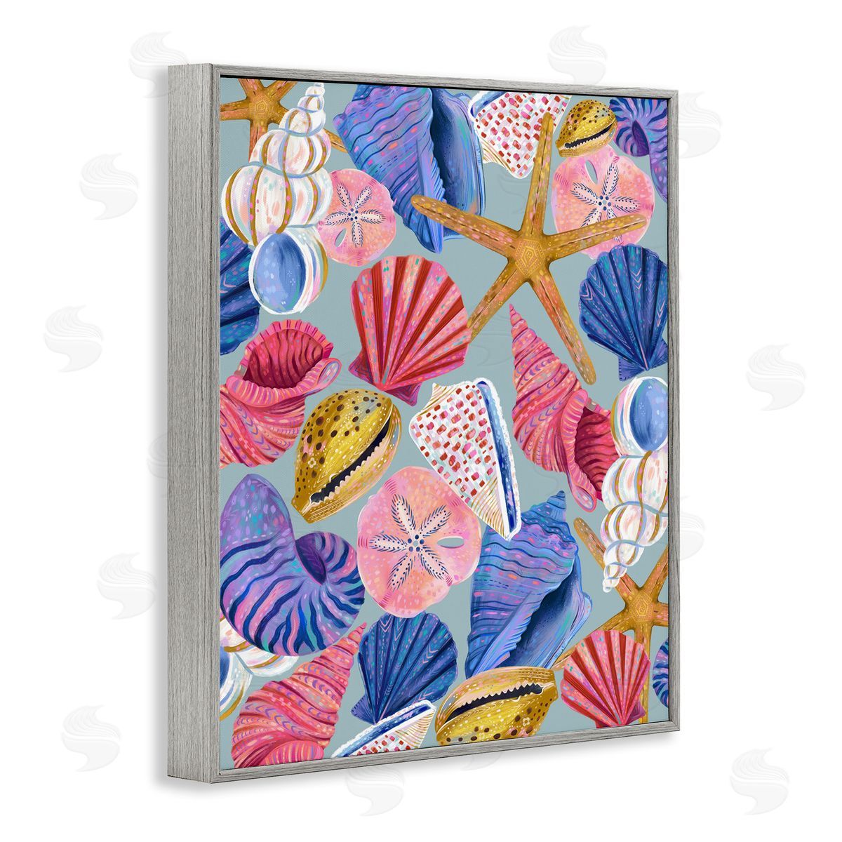Bright Seashells Assortment Grey Frame Print Wall Art, Home Decor by Arrolynn Weiderhold