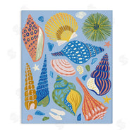 Arrolynn Weiderhold | Summer Fun Seashells