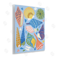 Arrolynn Weiderhold | Summer Fun Seashells