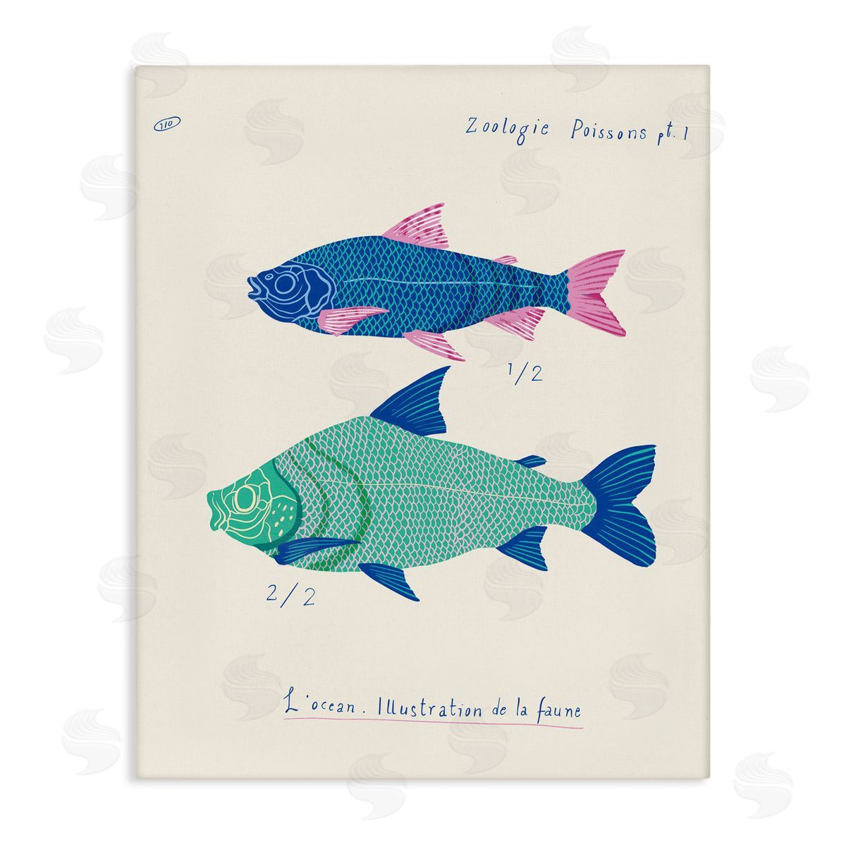 Sea Fauna Studies Canvas Wall Art, Home Decor by Marina Astudillo