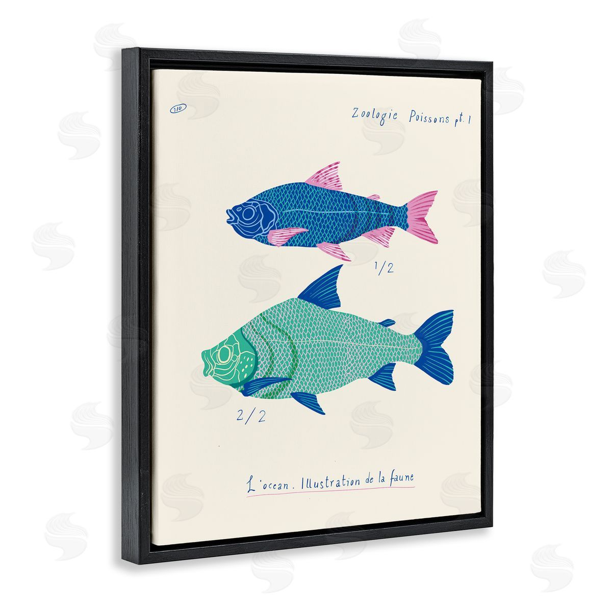Sea Fauna Studies Black Floating Frame Canvas Wall Art, Home Decor by Marina Astudillo