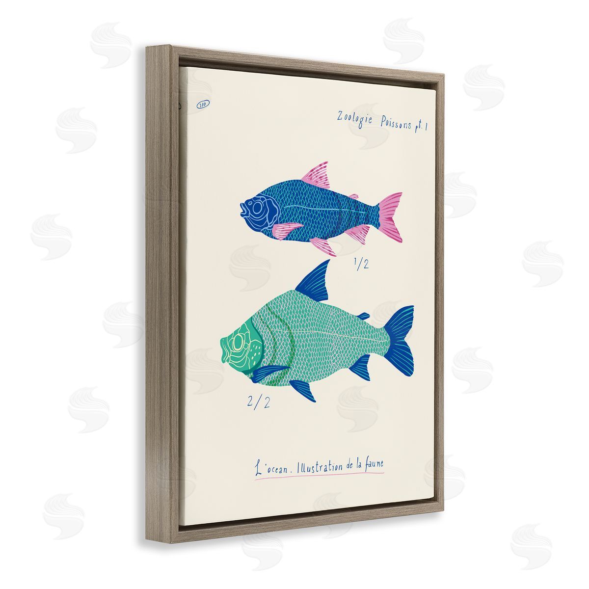 Sea Fauna Studies Brown Floating Frame Canvas Wall Art, Home Decor by Marina Astudillo