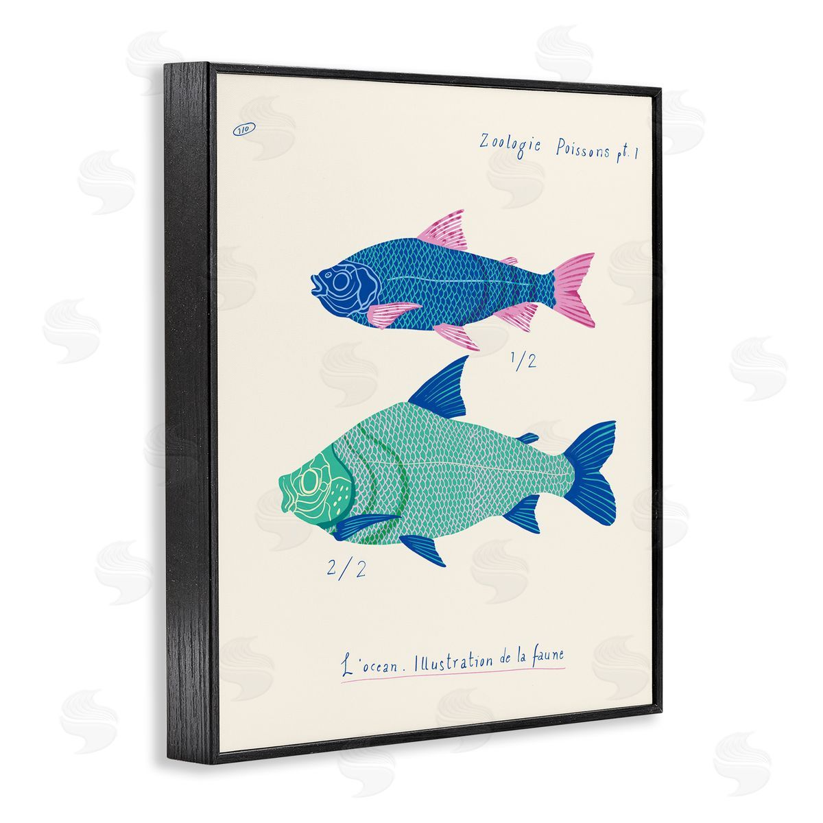 Sea Fauna Studies Black Frame Print Wall Art, Home Decor by Marina Astudillo