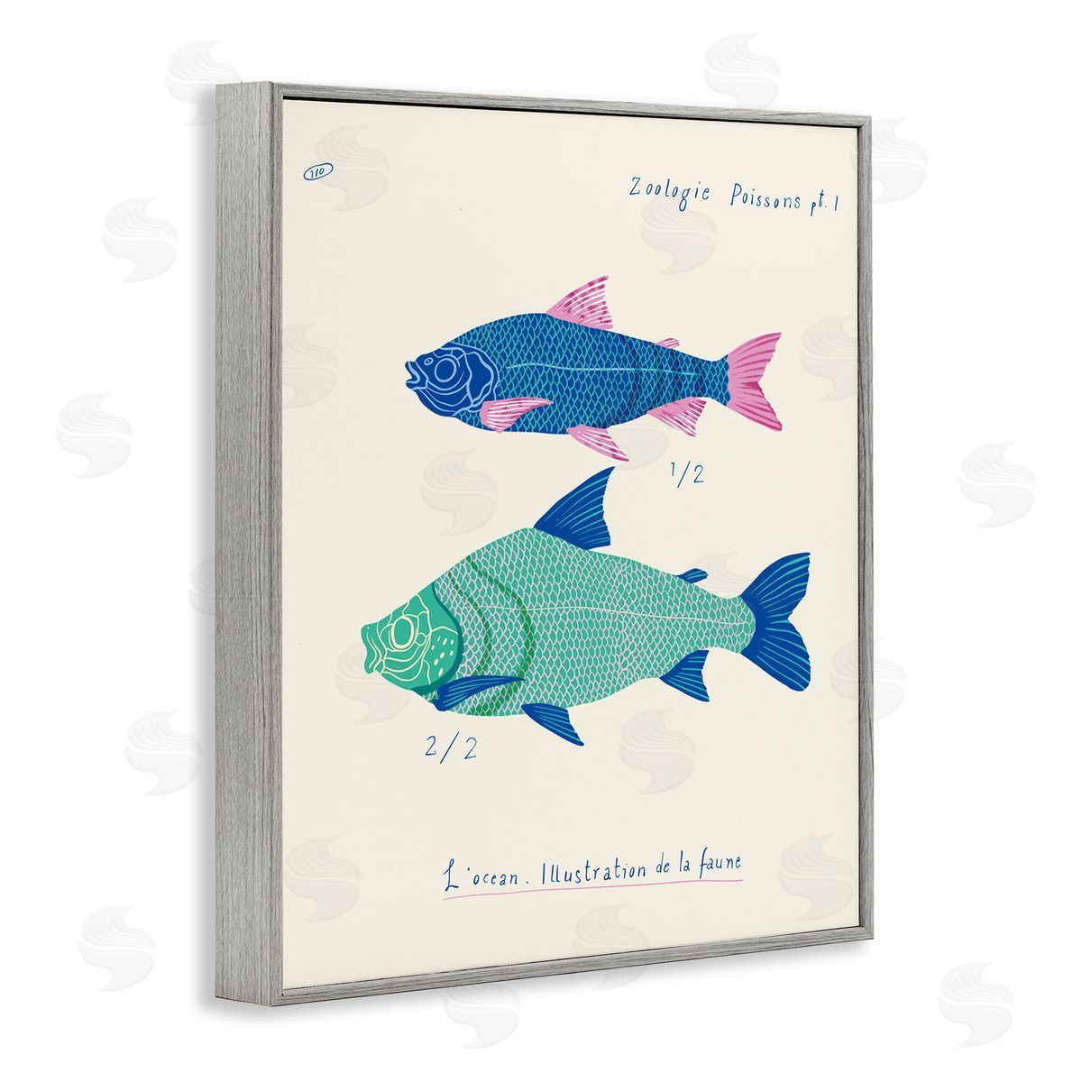 Sea Fauna Studies Grey Frame Print Wall Art, Home Decor by Marina Astudillo