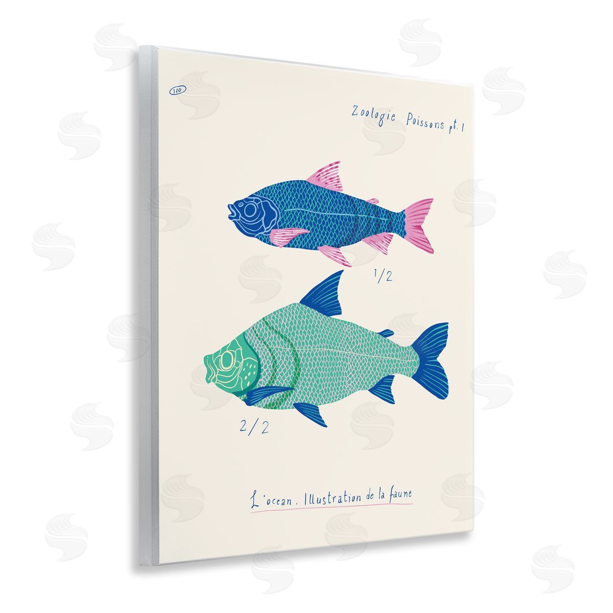 Sea Fauna Studies Wood Plaque Wall Art, Home Decor by Marina Astudillo