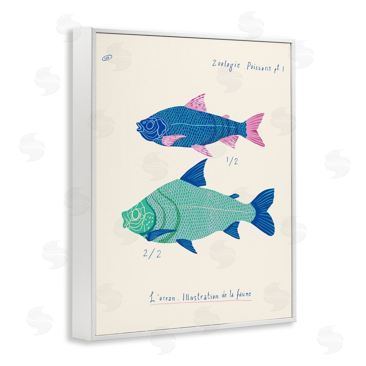 Sea Fauna Studies White Frame Print Wall Art, Home Decor by Marina Astudillo