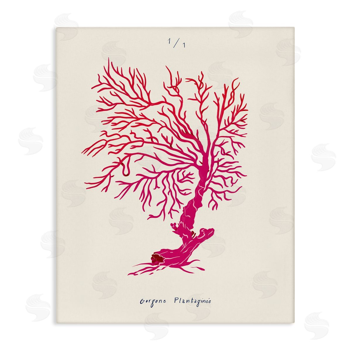 Sea Fauna Coral Canvas Wall Art, Home Decor by Marina Astudillo