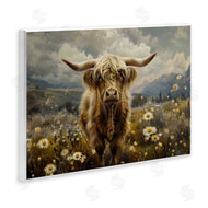 LSR Design Studio | Cattle in Daisy Field