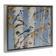 Valerie Rogers | Blue Jay Autumn Day