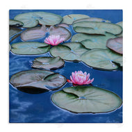 Valerie Rogers | Blue Pond Lily Reflection