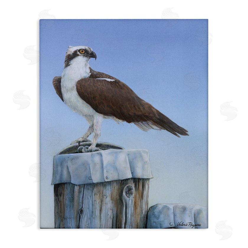 Valerie Rogers | Harbor Master Bird Perched