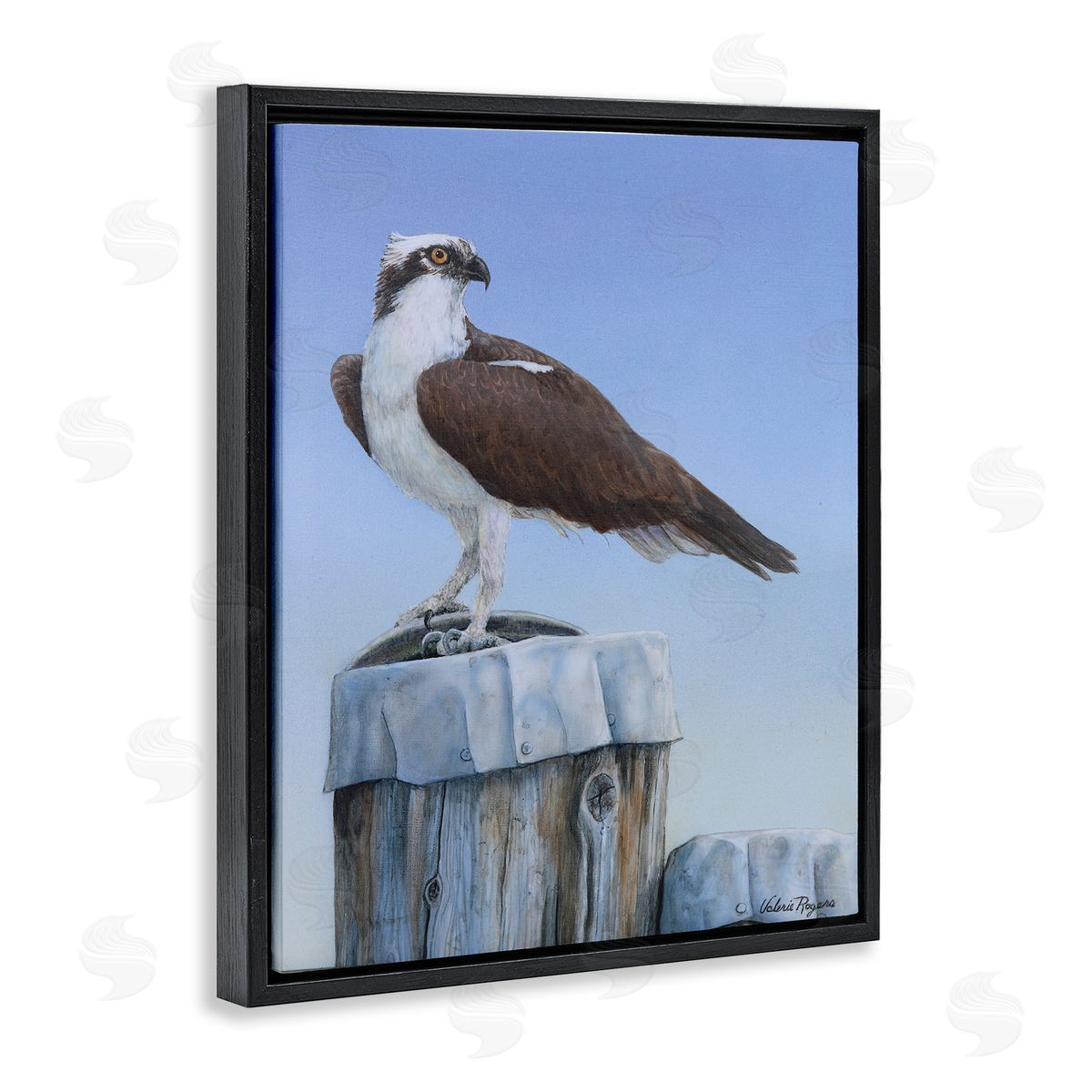 Harbor Master Bird Perched Black Floating Frame Canvas Wall Art, Home Decor by Valerie Rogers