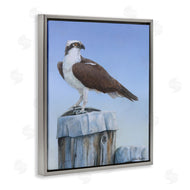 Valerie Rogers | Harbor Master Bird Perched