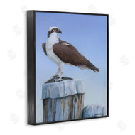 Valerie Rogers | Harbor Master Bird Perched