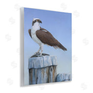 Valerie Rogers | Harbor Master Bird Perched