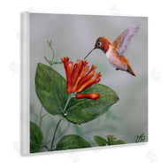 Valerie Rogers | Red Hummingbird & Flower