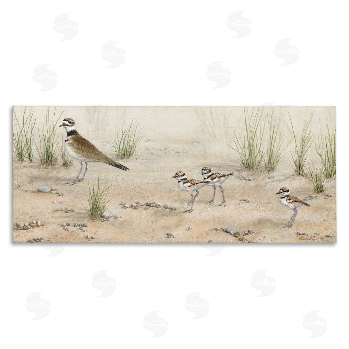 Kildeer Birds Stepping Canvas Wall Art, Home Decor by Valerie Rogers