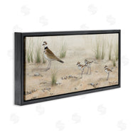 Valerie Rogers | Kildeer Birds Stepping