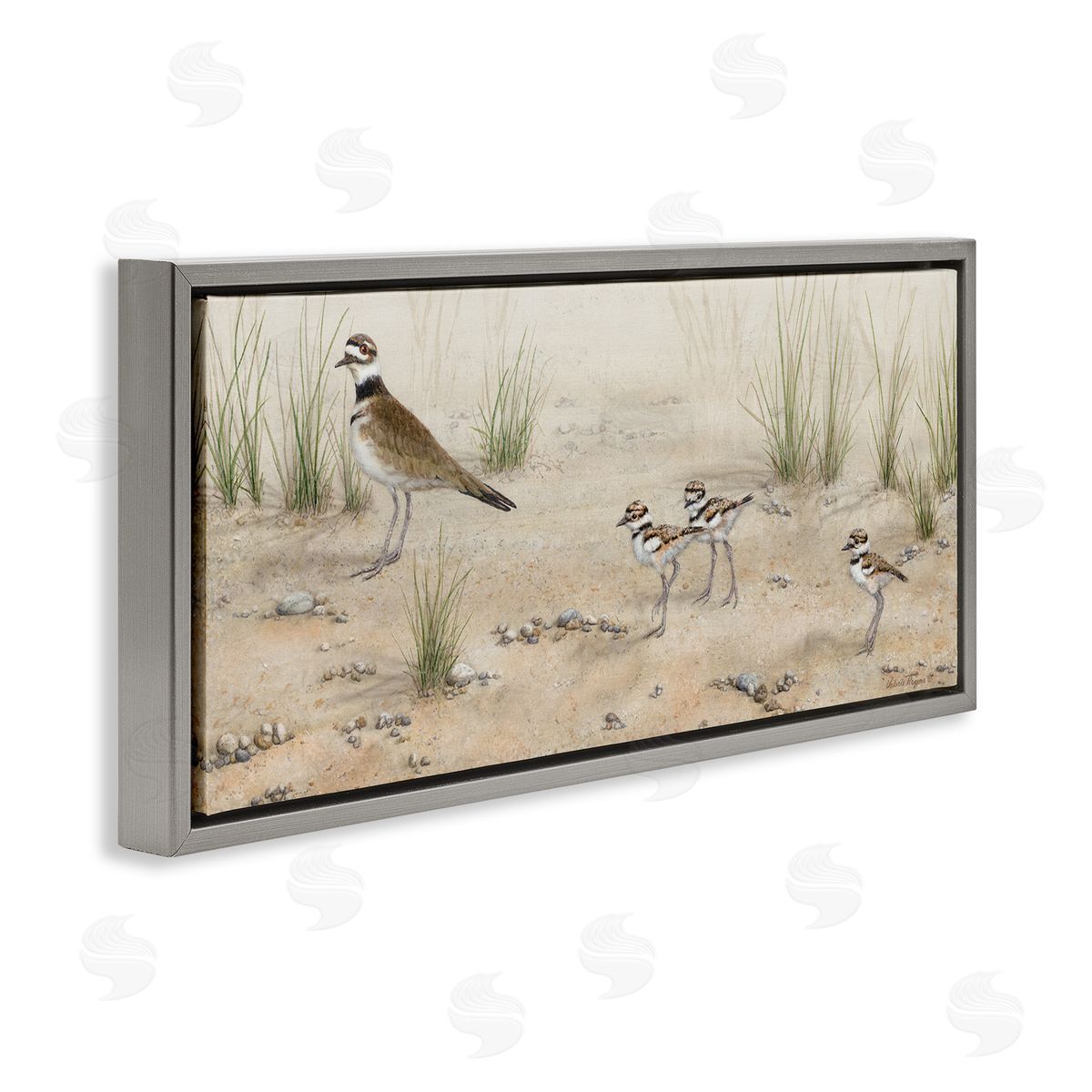 Kildeer Birds Stepping Grey Floating Frame Canvas Wall Art, Home Decor by Valerie Rogers