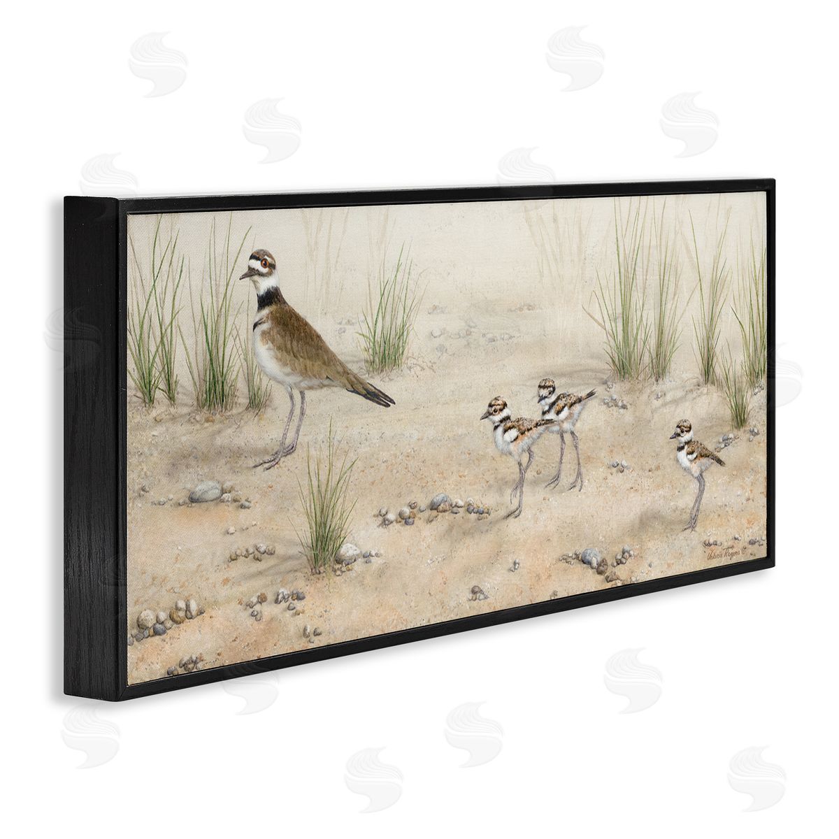 Kildeer Birds Stepping Black Frame Print Wall Art, Home Decor by Valerie Rogers